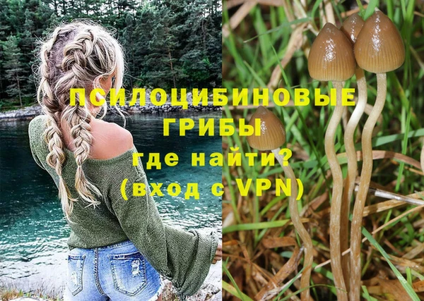 каннабис Дмитриев